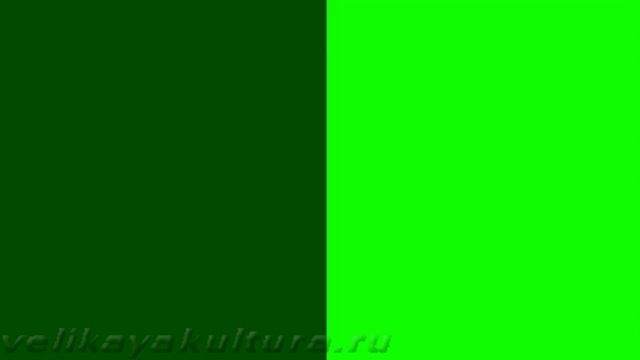 Правописание согласных в корне слова смотреть онлайн