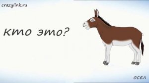 Домашние животные на французском.