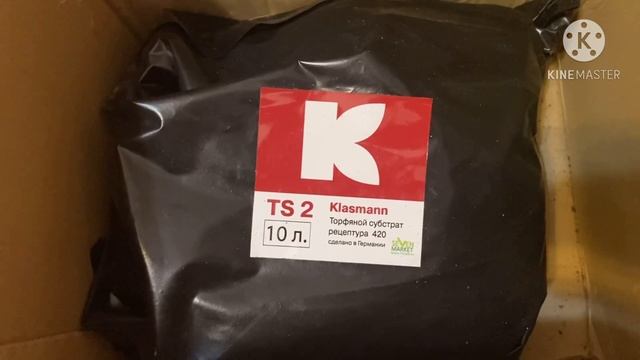 Всегда покупаю для фиалок, пеларгоний, стрептокарпусов. Грунт, удобрение. смотреть онлайн