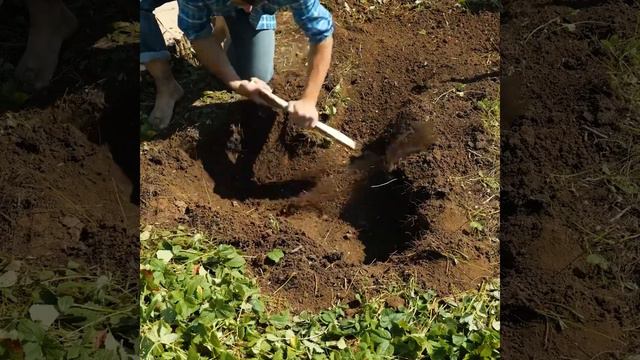 GENIUS SOLUTIONS FOR DOG OWNERS TO MAKE YOUR PET'S LIFE BETTER смотреть онлайн