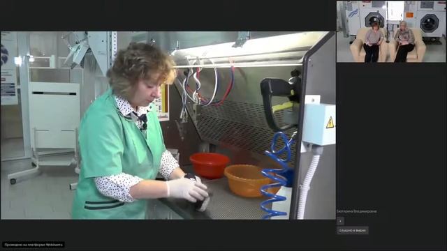 Химчистка обуви из натуральной кожи смотреть онлайн