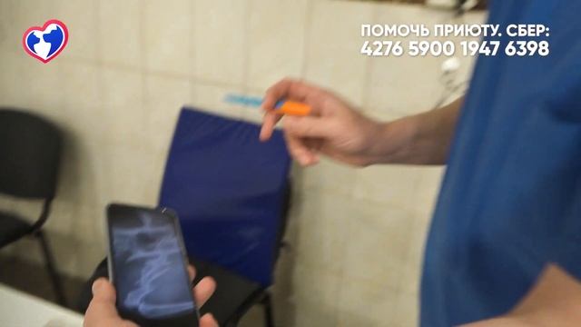 Едем лечить кота - сложный перелом смотреть онлайн