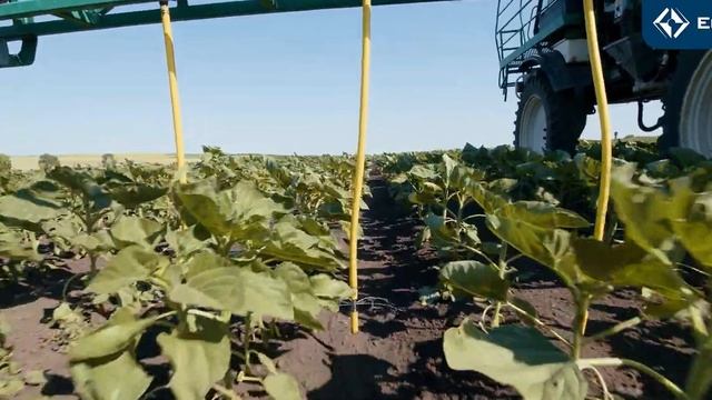 Жидкое удобрение КАС-32, рекомендации по применению: кукуруза, подсолнечник, сахарная свекла, соя, смотреть онлайн