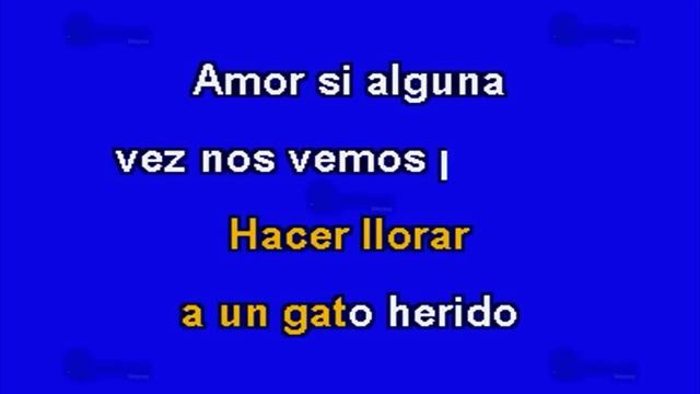 La Gata Bajo La Lluvia - Multikaraoke - Fue Éxito De Rocío Dúrcal смотреть онлайн