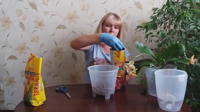 Летние хлопоты: пересаживаю орхидеи в горшки с автополивом смотреть онлайн
