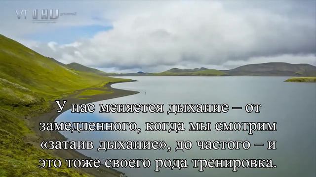 Драмы и триллеры какое влияние они оказывают Мнение психолога — Статья смотреть онлайн