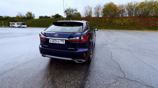 Lexus RX300 2019г JTJZAMCA702066210