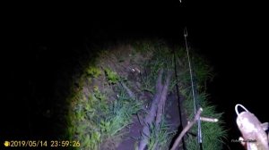 Ловля сома весной с берега на донку на земляного червя на реке в мае ночью. Охота на сома #4.