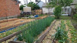 Как сделать простые и дешевые грядки