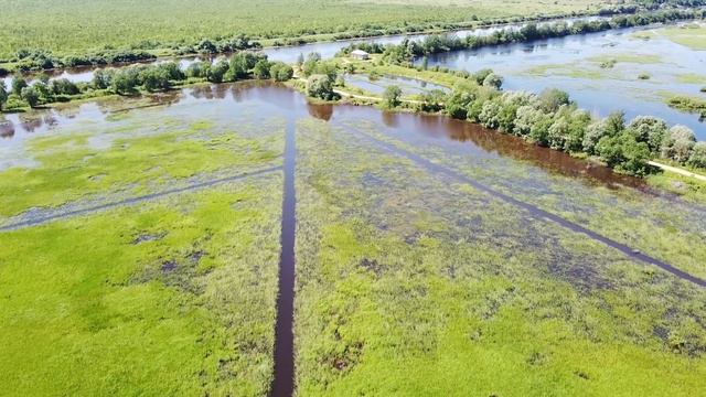 Медвежонок привел десантников к притравочной станции в лесу. Ребята разобрались как следует