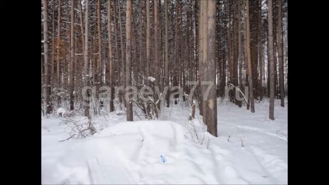 garaeva77.ru земельный участок Ижевск Восточный поселок смотреть онлайн
