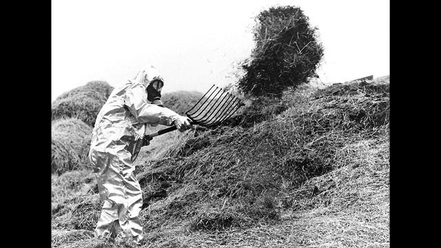 Чернобыль, Припять. Редкие и малоизвестные фотографии смотреть онлайн