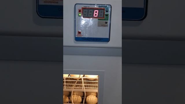 Настройка температуры и влажности в инкубаторе Фермер 189 смотреть онлайн