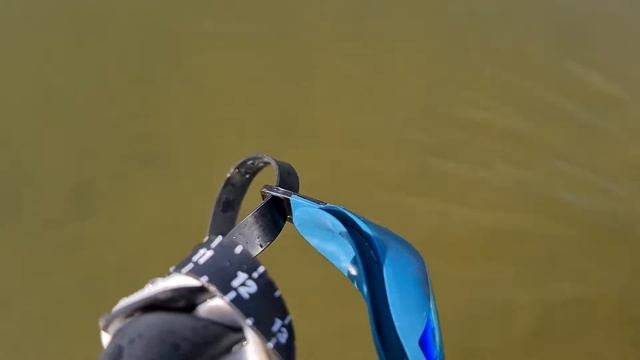 Best SPEEDO Swimming Goggles [Speedo FASTSKIN PURE FOCUS Mirror vs FUTURA vs cheapest googles] смотреть онлайн