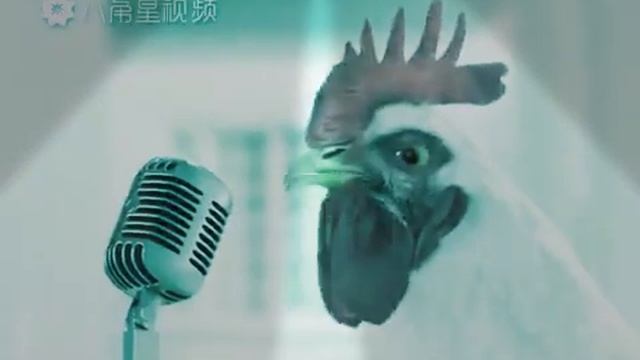 Курочки поют! смотреть онлайн