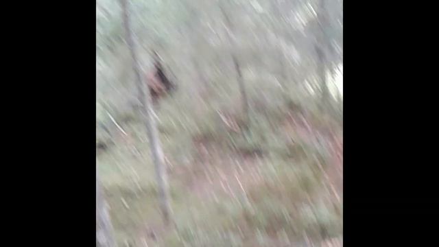 СПЛАВ ПО РЕКЕ С НОЧЬЮ НА СПИНИНГ смотреть онлайн