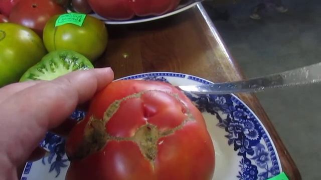 Томат Мечта Алисы! смотреть онлайн