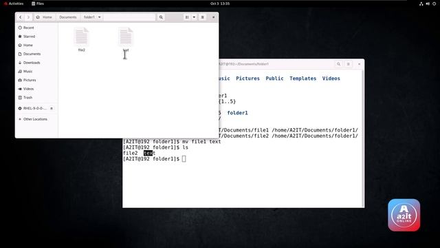 How to copy, move, and rename files and directories - Red Hat | cp, mv, ps, man |A2it Online смотреть онлайн