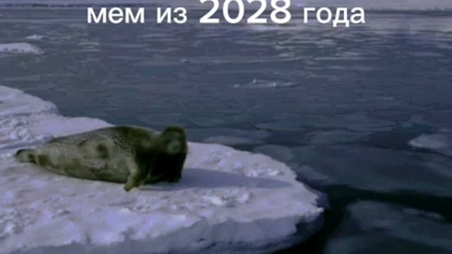 мем из 2028 года (вы пока не поймёте)