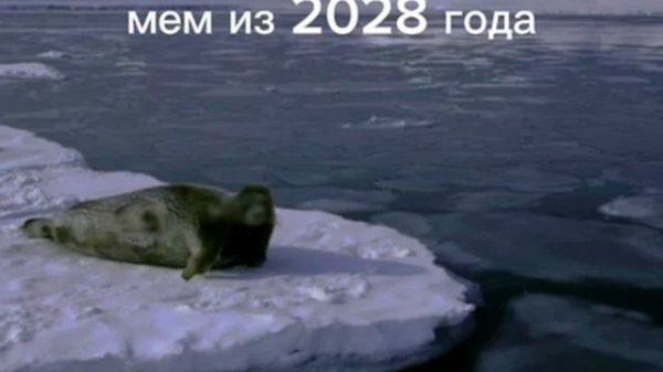 мем из 2028 года (вы пока не поймёте)