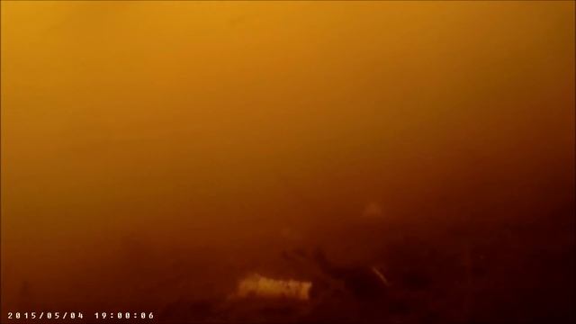 рыба в Преголе (Russian river Pregolya and fish underwater) смотреть онлайн