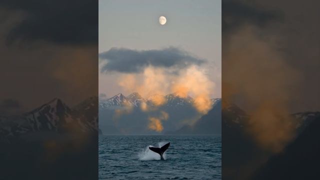 Эта практика возвращает к жизни за 20 минут! Практика-медитация «Я вселенский океан» смотреть онлайн