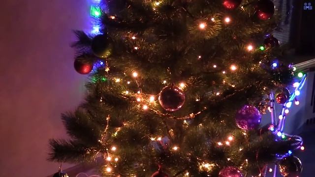 Terra Amica. Фестиваль дружбы народов мира смотреть онлайн