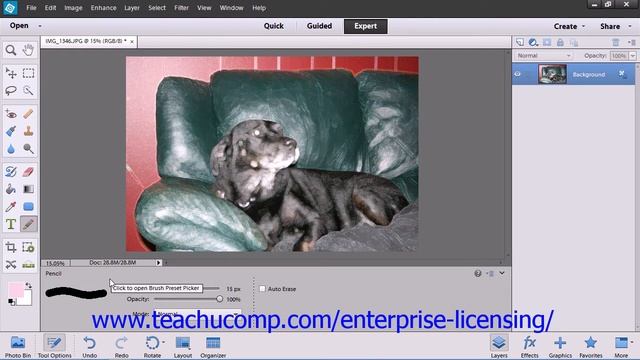 Adobe Photoshop Elements 12 Tutorial Painting Tools Employee Group Training 6.5 смотреть онлайн