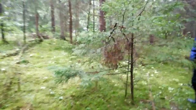 Сельский Фитнес Тренировка Кирпичами-В Лес по Грибы-Вечером Баня с Веничком-Жизнь в Деревне смотреть онлайн