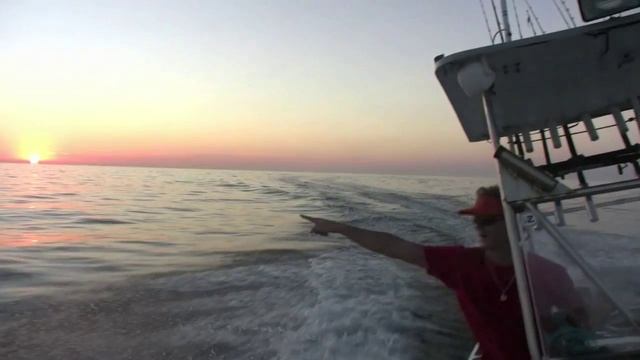Thresher Rodeo--Shark Fishing In Southern California смотреть онлайн