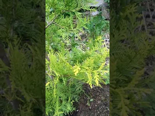 19 июня 2022 г. смотреть онлайн