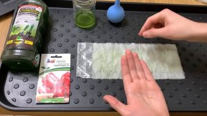 НАДЁЖНЫЙ СПОСОБ ПРОРАСТИТЬ СЕМЕНА ПЕРЦА. СКРУТКИ