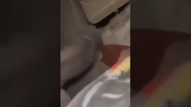 Спасатели нашли труп женщины, которая утонула в проруби смотреть онлайн