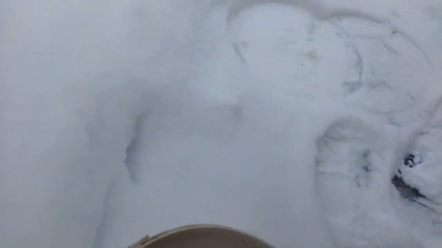 Курятник в теплице, как живут утки и куры зимой / Молодая ферма на пенсии / Жизнь в деревне