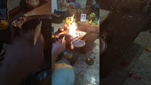 Питру-пакша, День 13й смотреть онлайн