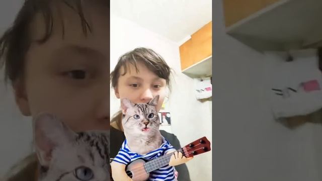 ОТКУДА. КОШКА. ВЗЯЛАСЬ смотреть онлайн