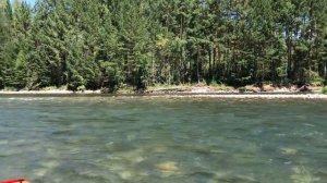 Принцип работы ТИРОЛЬСКОЙ ПАЛОЧКИ? Ловим ХАРИУСА ?