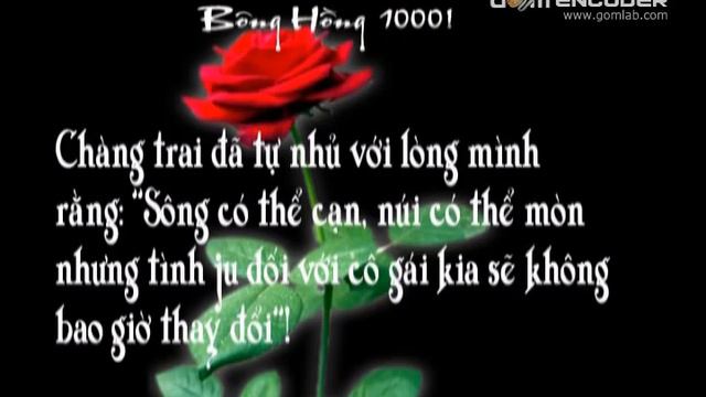 bong hong 1000.flv смотреть онлайн