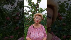 Придомовая территория сколько метров?