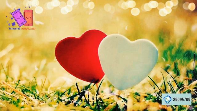 Хайрт хань Нямчулуундаа хань Анхцэцэг болон дөрвөн хүүхдээс нь илгээсэн мэндчилгээ смотреть онлайн