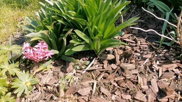 Кто из нас умнее... Время пoкажет ???♀️Дача в Германии! смотреть онлайн