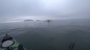 Рыбалка на каяке в тихом океане. Сравнение Jackson cuda 14 и Okean Kayak.