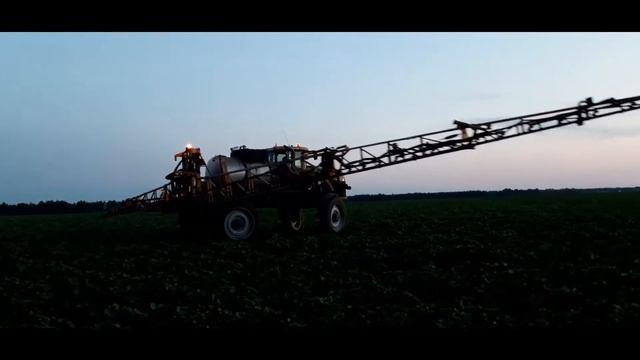 Обработка подсолнечника: Фитоспорин + Биополимик + Бионекс + Биолипостим смотреть онлайн