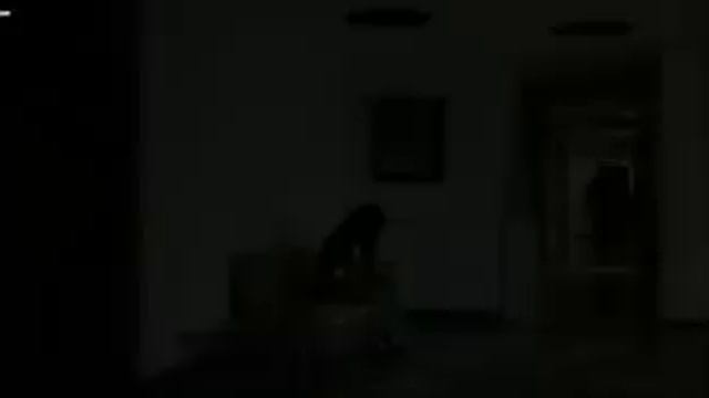 Афера в маями