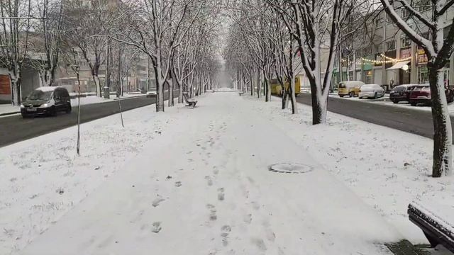 "Снег кружится за окном" Poet Alchemist Coffee #зима #настроение #отношения #top #trend #любовь смотреть онлайн