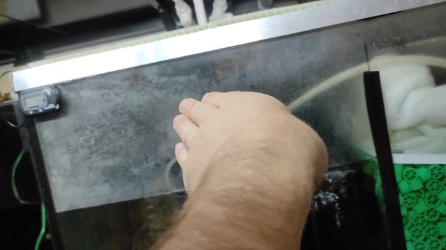 о фильтрации аквариумной воды смотреть онлайн