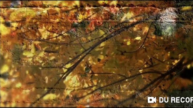 Razmer Project Ft. Reva - Jeltyi List