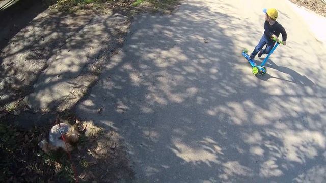 #SJCAM #SJ8 #PRO чехол и защита от ветра с алиэкспресс