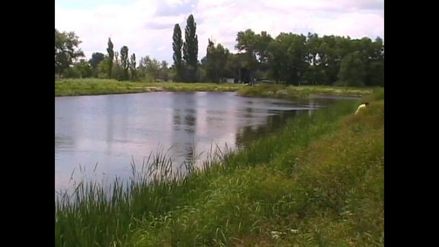 Масковцы. Не большая рыбалка смотреть онлайн