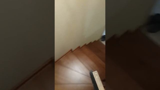 Лестница из сосны "под ключ". Обзор. пос. Фирсово смотреть онлайн